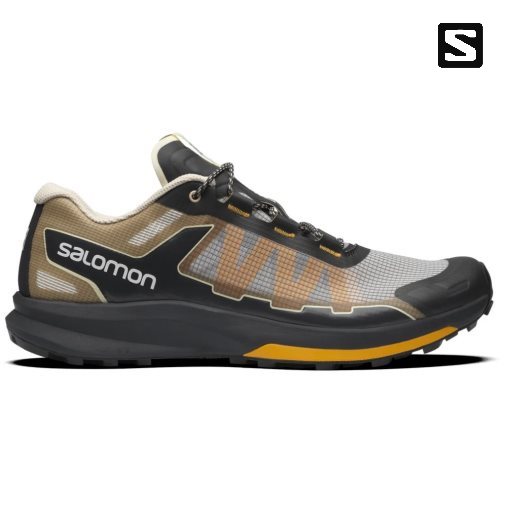 Black / Grey / Brown Salomon Ultra Raid Men's Sneakers | PH 09426G